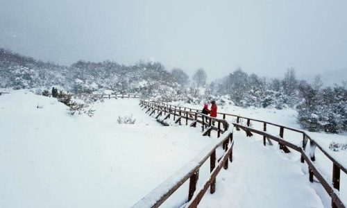 parque-inverno_2_1